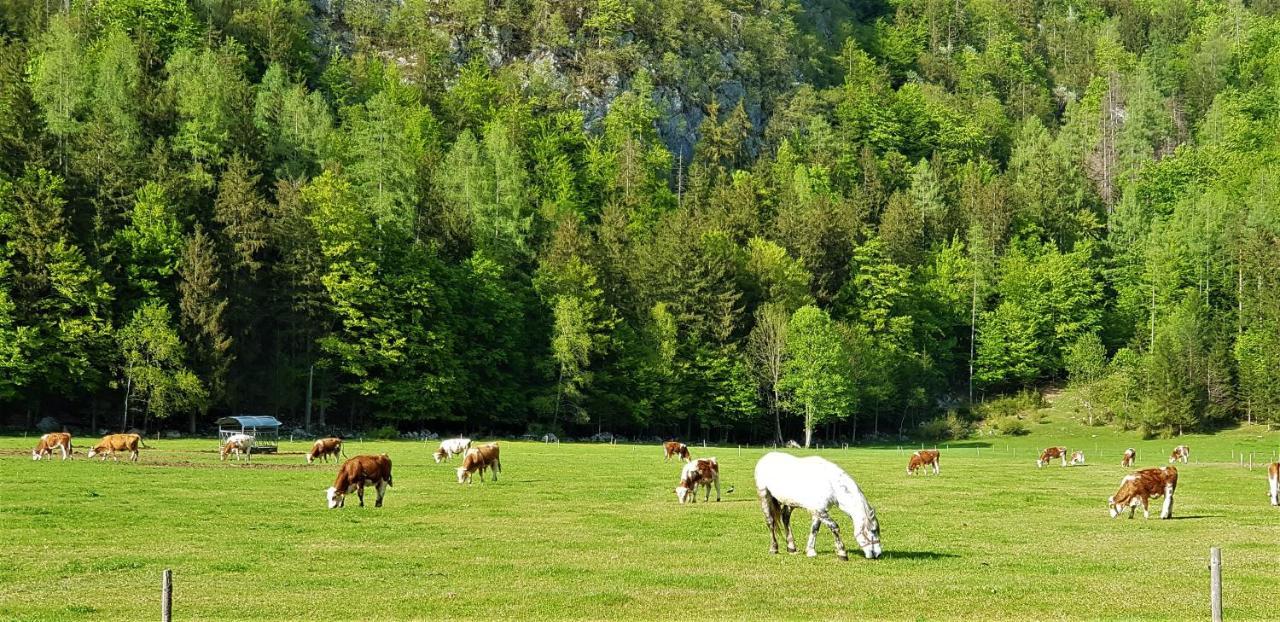7 Lakes Apartment Bohinj Exterior foto