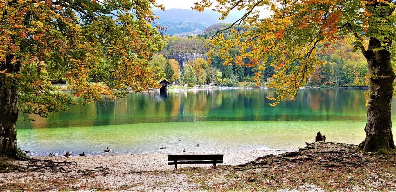 7 Lakes Apartment Bohinj Exterior foto